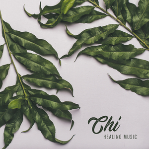 Balance of Mind & Body