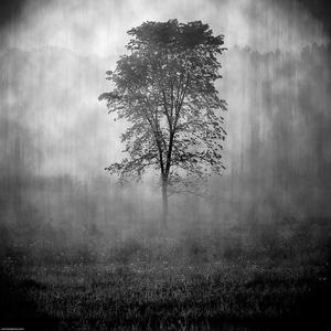 因你（prod by.LYVET)