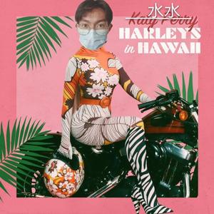Harleys in Hawaii