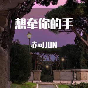 想牵你的手（温柔少年版）