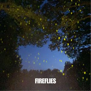 FIREFLIES