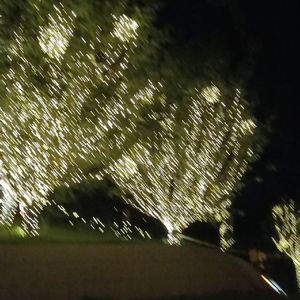 [FREE] "缠绕“ Piano Jerk Type Beat