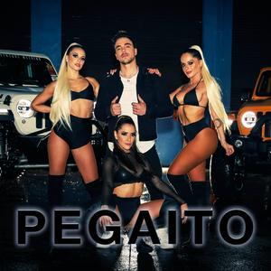 Pegaito
