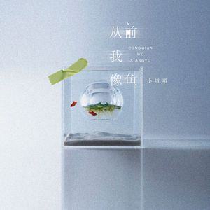 从前我像鱼（伴奏）