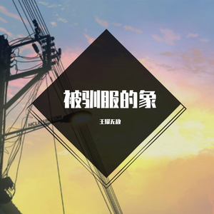 被驯服的象
