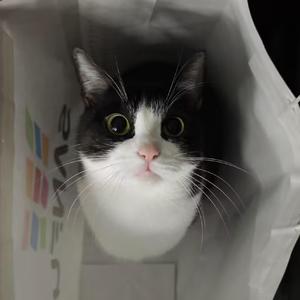 绝对占有，绝对自由