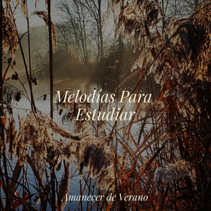 Resonando Resiliencia