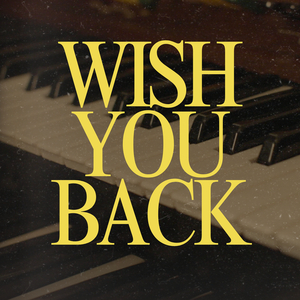 Wish You Back