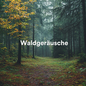 Waldrauschen