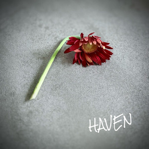 HAVEN