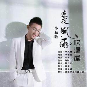 连夜风雨吹漏屋-DJ阿能版