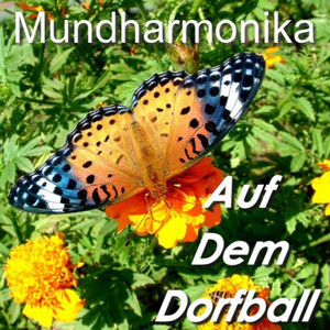 Im Schönsten Wiesengrunde