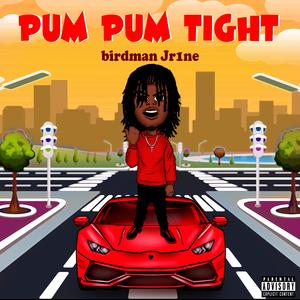Pum Pum Tight (feat. Birdman Jr1ne)