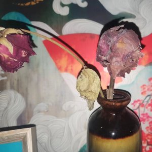 爱如潮水+他+独行侠（翻自 sea蕊）