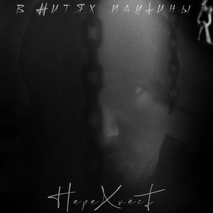 В нитях паутины