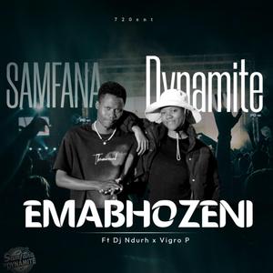 Emabhozeni (feat. Vigro P)