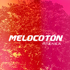 Melocoton