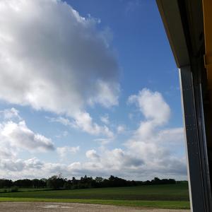 This World Is Dreamlike