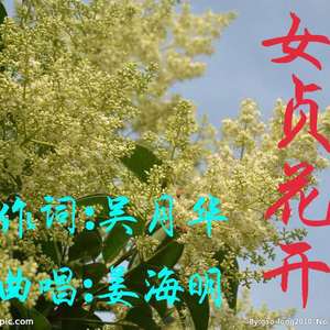 女贞花开(吴月华)