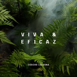 La Santificación del Corazón