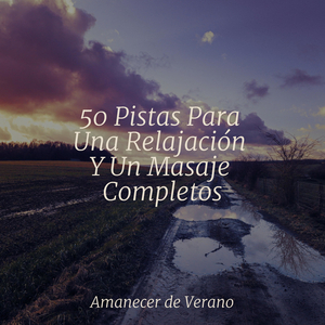 Viaje de Flores Caprichosas