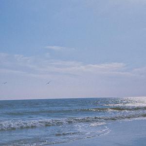 当我试图屏蔽潮起潮落的喧嚣只是为了听见你