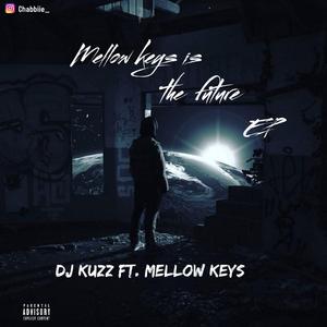 Dankie vigro deep (mellowkeys)