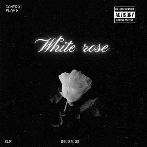 White rose