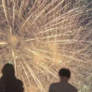 明知不可为而为之