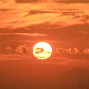 我該怎麼忘記你