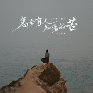 怎会有人知你的苦 (洋澜一版)