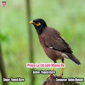Pinjra Le Ud Jahi Maina Re