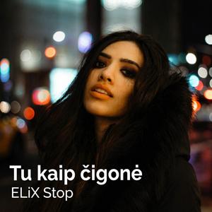 Tu kaip čigonė