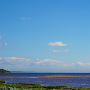 Злобный взгляд