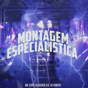 Montagem Especialistica