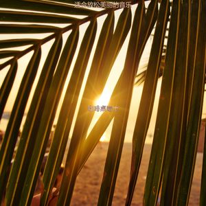 适合放松美丽的音乐