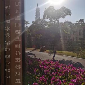 当耳机里放到喜欢的歌之时望向窗外恰好看到的是？