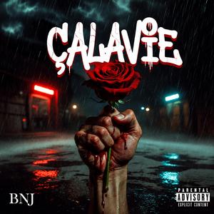 Çalavie