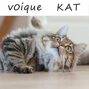 Kat