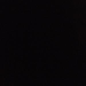 The last dance champion