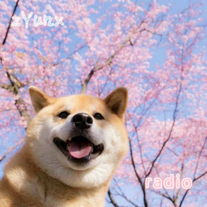 ZYunx house radio 【老版本】