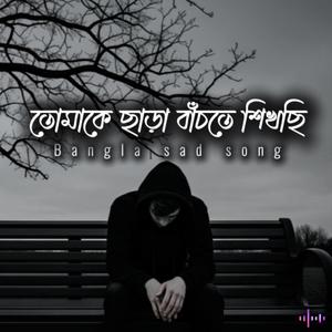 তোমাকে ছাড়া বাঁচতে শিখছি
