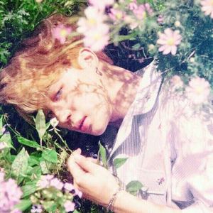 爱过（翻自 尔康）