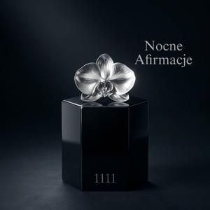 On Wybiera Mnie (Manifestacja SP, Dark Feminine Afirmacje)