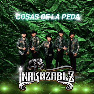 Cosas de la Peda