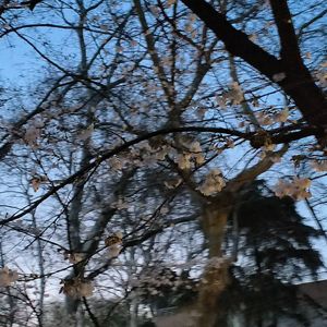 风绪（×1.3）Prod EVOMUSIC