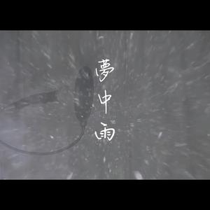 夢中雨