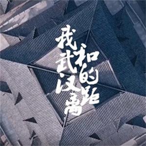 我和武汉的距离