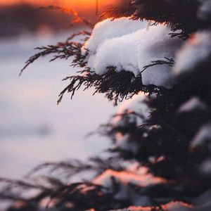 屋檐的回忆