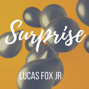 Il Cancello Della Villa